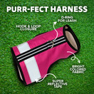 Reflective Cat Harness - High-Visibility Cat Vest for Day & Night | Secure, Breathable and Washable Cotton | Ideal for Walking & Traveling - Flamingo Pink, XS