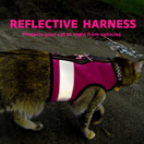 Reflective Cat Harness - High-Visibility Cat Vest for Day & Night | Secure, Breathable and Washable Cotton | Ideal for Walking & Traveling - Flamingo Pink, XS