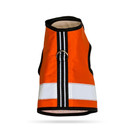 Reflective Cat Harness - High-Visibility Cat Vest for Day & Night | Secure, Breathable and Washable Cotton | Ideal for Walking & Traveling - Outrageous Orange, S to M
