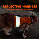 Reflective Cat Harness - High-Visibility Cat Vest for Day & Night | Secure, Breathable and Washable Cotton | Ideal for Walking & Traveling - Outrageous Orange, S to M