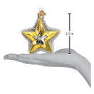 Old World Christmas Radiant Star Glass Blown Ornament for Christmas Tree