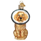 Old World Christmas Cone of Shame Dog Glass Blown Ornament for Christmas Tree