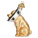 Old World Christmas Cone of Shame Dog Glass Blown Ornament for Christmas Tree