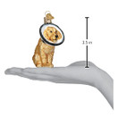 Old World Christmas Cone of Shame Dog Glass Blown Ornament for Christmas Tree