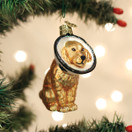 Old World Christmas Cone of Shame Dog Glass Blown Ornament for Christmas Tree