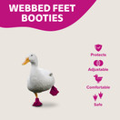 Duck Shoes for Injured Feet – Protective Neoprene Footwear for Ducks, Protective Shoes for Birds with Injured feet, Bumblefoot Relief - Medium, 3.5” Max. Inside Width - Pink