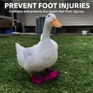 Duck Shoes for Injured Feet – Protective Neoprene Footwear for Ducks, Protective Shoes for Birds with Injured feet, Bumblefoot Relief - Medium, 3.5” Max. Inside Width - Pink