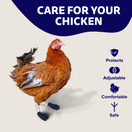 Chicken Shoes for Injured Feet - Protective Neoprene Footwear for Chicken