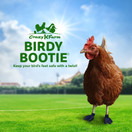 Chicken Shoes for Injured Feet - Protective Neoprene Footwear for Chicken