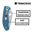 Spyderco Tenacious Folding Utility Pocket Knife with 3.35 In R.I.L. Blue Titanium Blade and Durable Handle - Everyday Carry - PlainEdge - C122TIBLP