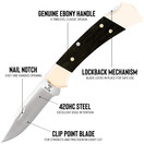 NIB Buck Ebony Ranger 112 Folding Hunting/Pocket Knife & Leather Sheath | 2632