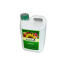 AlgoFlash Flowering Plants - Liquid Fertilizer and Plant Food 1-Liter Bottle