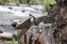 Spyderco Foliage Green Delica 4 Combo Edge - C11PSFG
