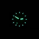 BERTUCCI® Field Watch - DX3 Field™ - Black Dial/Dk Olive Case/Defender Olive Nylon Band 11026