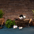 Of The Earth Heart Seed Paper - 50pcs Of The Earth Heart Seed Paper - 50pcs