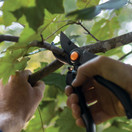 Fiskars Professional Bypass Pruning Shears - 391241