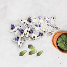 Butterfly Seed Paper – 50pcs Large Purple Plantable Wildflower, Writable