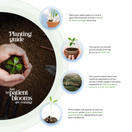 Of The Earth Butterfly Seed Paper – 50pcs Large Pink Plantable/Writable