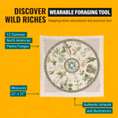 Wazoo Bandana Foraging Reference