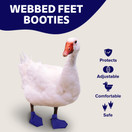 Duck Shoes Large Waterfowl Pair (4.5" W x 4" L)) / Royal Blue