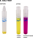 AquaVial E.Coli and Coliform Water Test Kit, 4-Pack