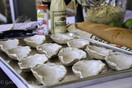 Loftin Oysters Ceramic Reusable Chargrilling Oyster Shell, Set of 12. Great for Seafood of all Kinds. Made in the USA.