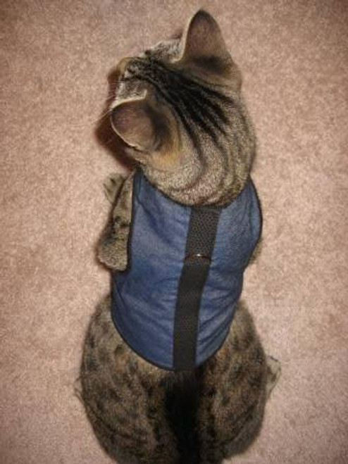 Kitty Holster Kitty Holster Cat Harness, X-Small, Denim Blue