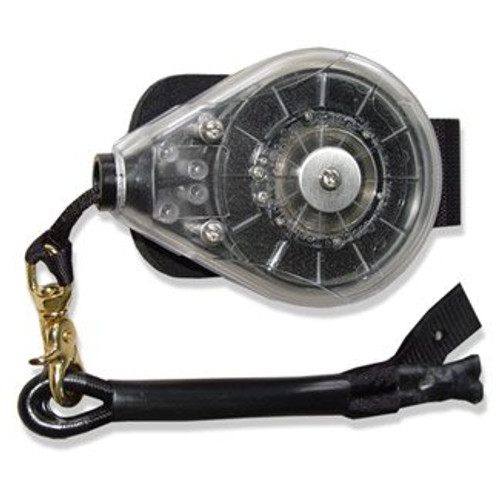 Oceanus Oceanus Reel