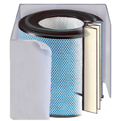 Austin Air FR450B Standard Plus Healthmate Plus Filter, White