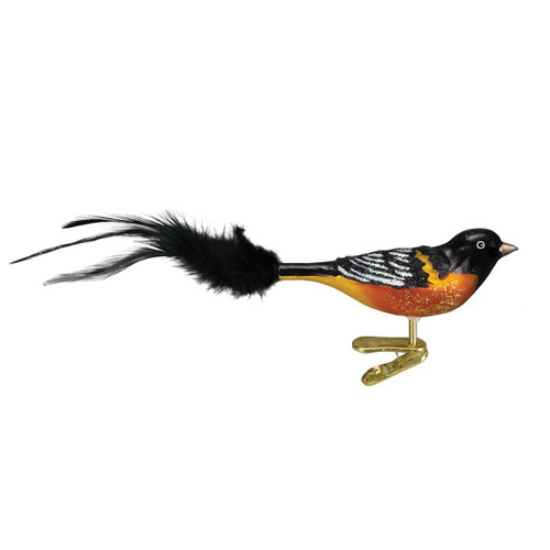 Old World Christmas 18059 Ornaments: Bird Watcher Collection Glass Blown Ornaments for Christmas Tree, Baltimore Oriole