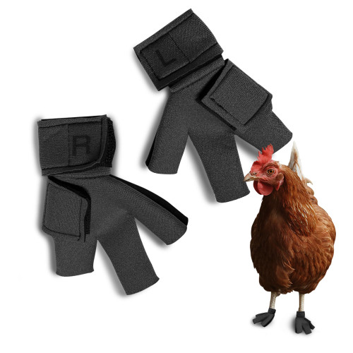 Chicken Shoes for Injured Feet – Protective Neoprene Footwear for Chicken, Open-Toe Design for Bumblefoot Relief, Made in USA - Standard, 3" Max. Inside Width, Gray