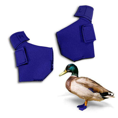 Duck Shoes Large Waterfowl Pair (4.5" W x 4" L)) / Royal Blue