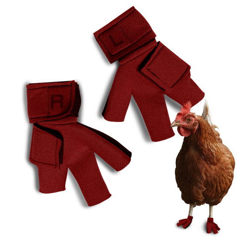 Chicken Pair Large (3" W x 3" L) / Red