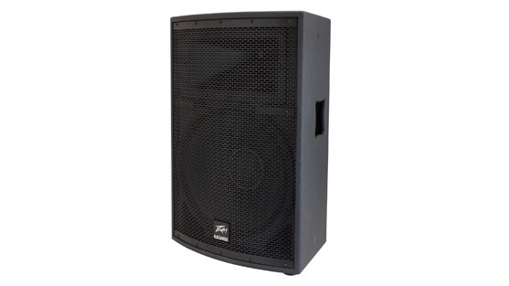 Peavey SP2 speaker enclosure