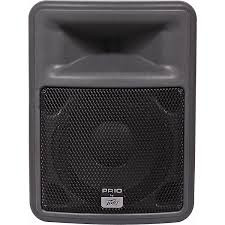 Peavey PR10 10" Pro Light Speaker