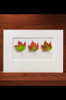 FallLeaf FL18-NC