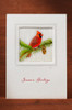 Xmas Cardinal XS06