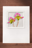 Orchid19 OR19-NC