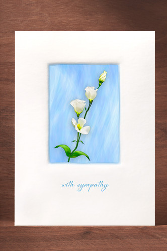 Lisianthus4 WF08-NC3