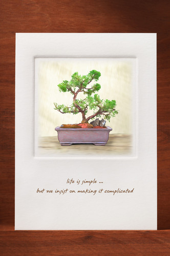 Bonsai-1 BN01-NC
