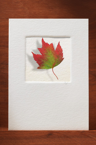 FallLeaf FL16-NC