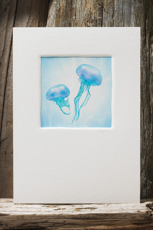 JellyFish SS10-NC