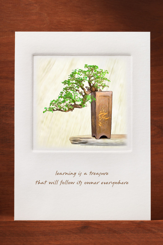 Bonsai-17 BN06-NC