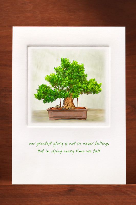 Bonsai-19 BN07-NC