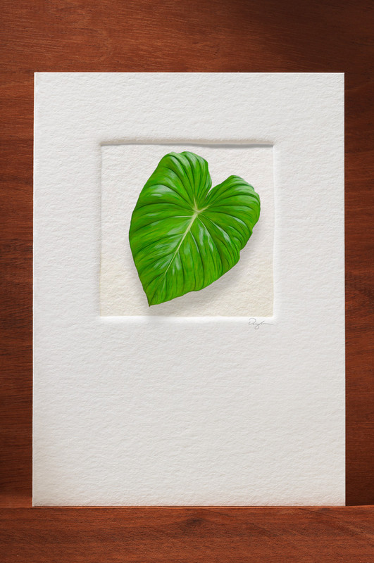 TropicalLeaf TL11-NC