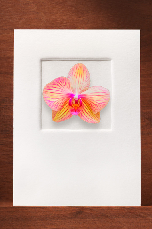Orchid84 FF13-NC