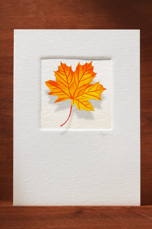 FallLeaf FL15-NC