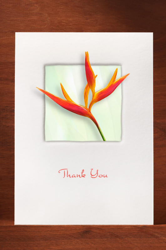 Bird of Paradise TF11-NC