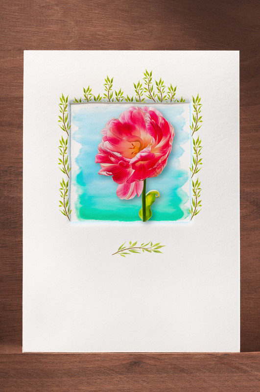 Tulip15  T15-NC