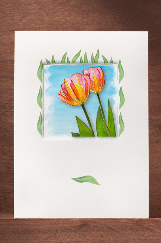 Tulip16  T16-NC